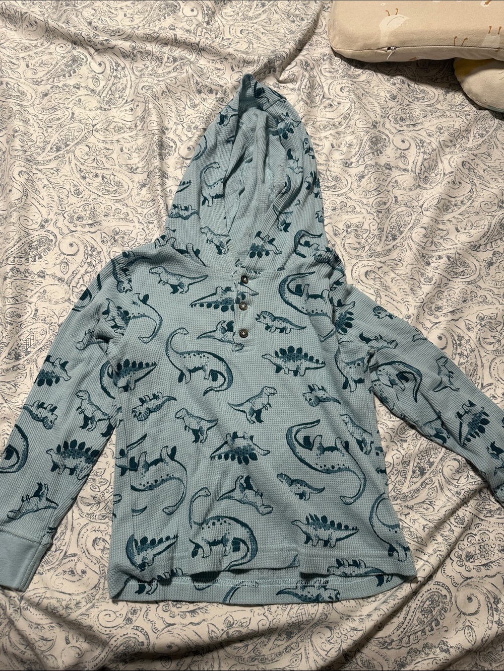 Carter's Light Blue Hoodie with Dark Teal Dinosaur Print